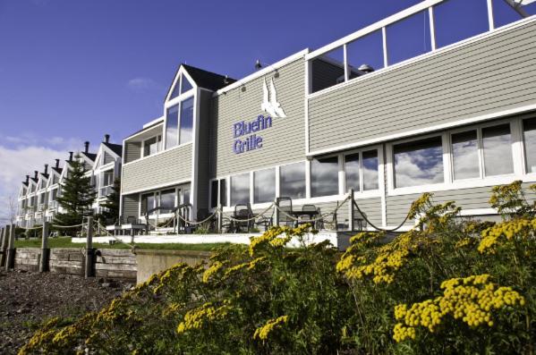 Bluefin Bay On Lake Superior Tofte Ngoại thất bức ảnh